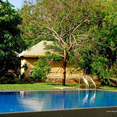 The Yala Adventure Hotel Tissamaharama Kültér fotó