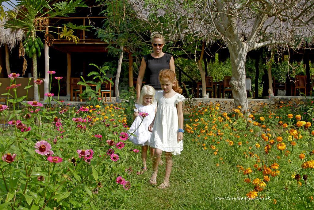The Yala Adventure Hotel Tissamaharama Kültér fotó