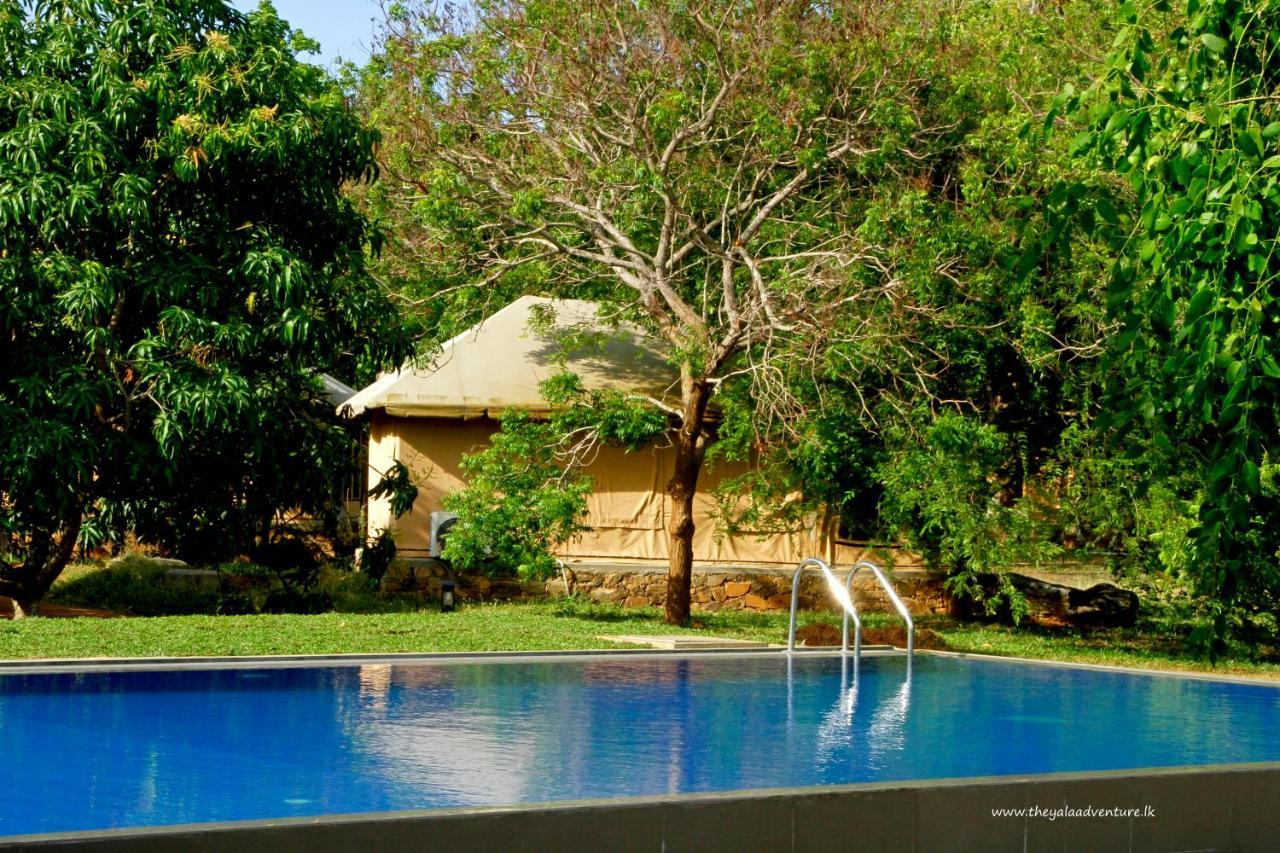 The Yala Adventure Hotel Tissamaharama Kültér fotó