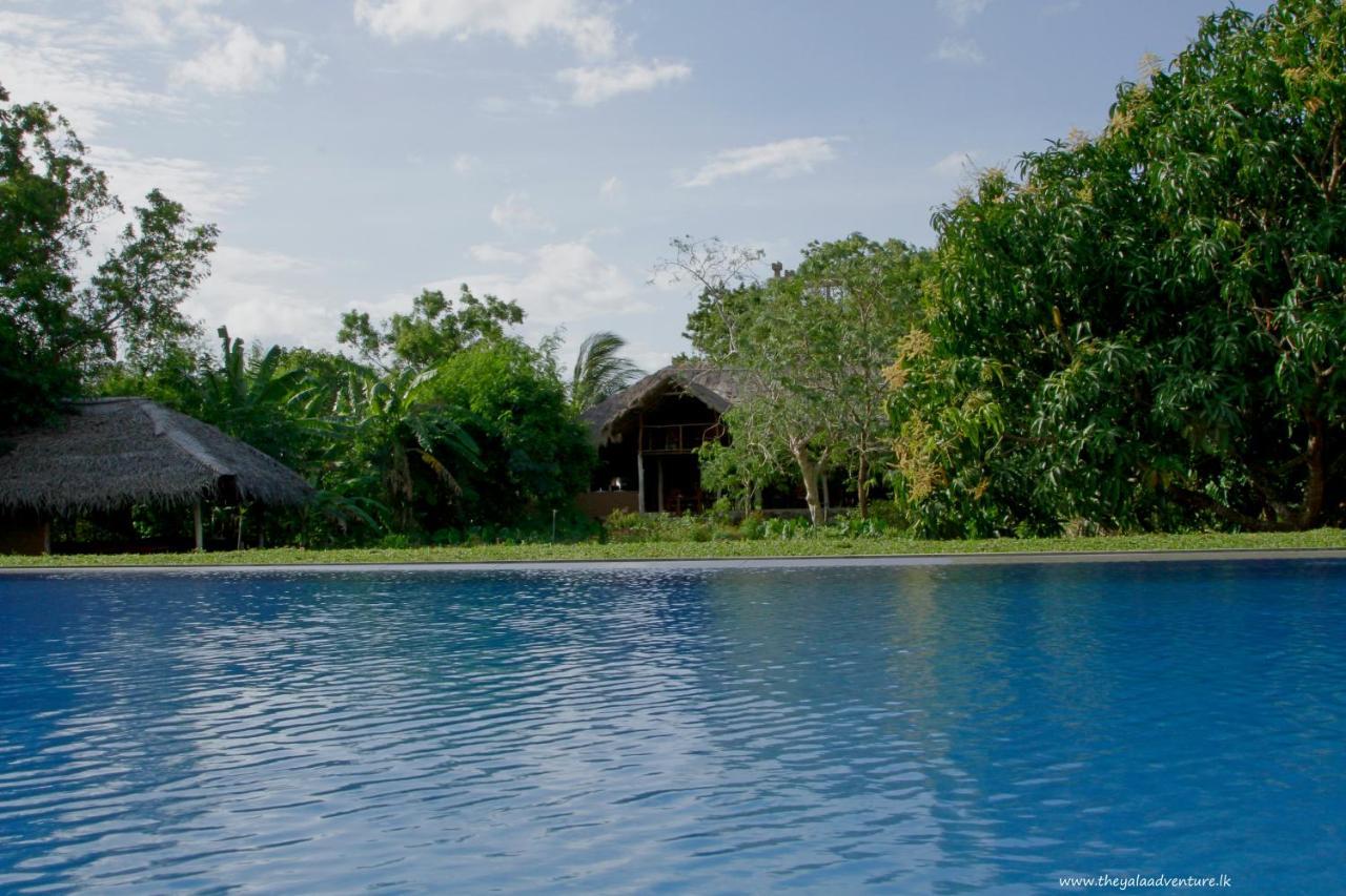 The Yala Adventure Hotel Tissamaharama Kültér fotó