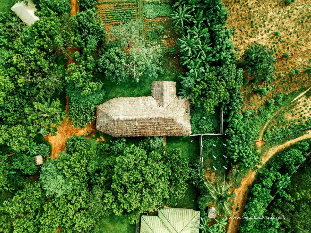 The Yala Adventure Hotel Tissamaharama Kültér fotó