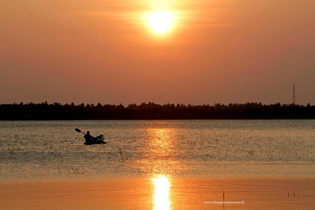 The Yala Adventure Hotel Tissamaharama Kültér fotó